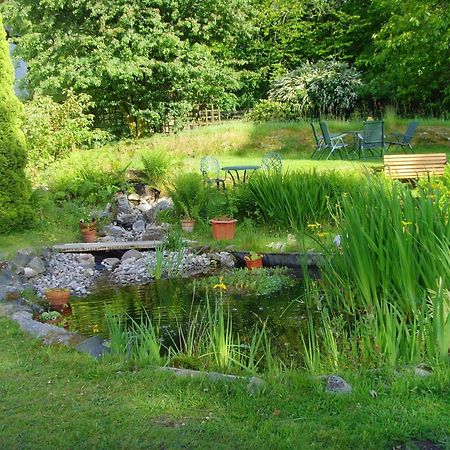 Beechwood B&B Postbridge Exterior photo